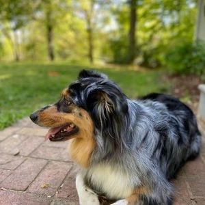 Meet your Posher, Monica